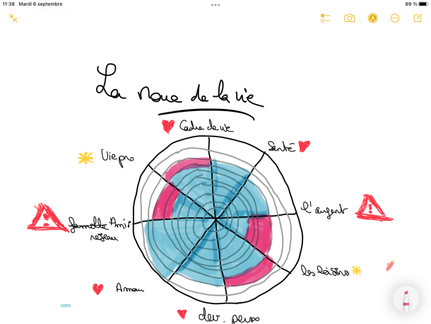 roue-de-la-vie-coaching